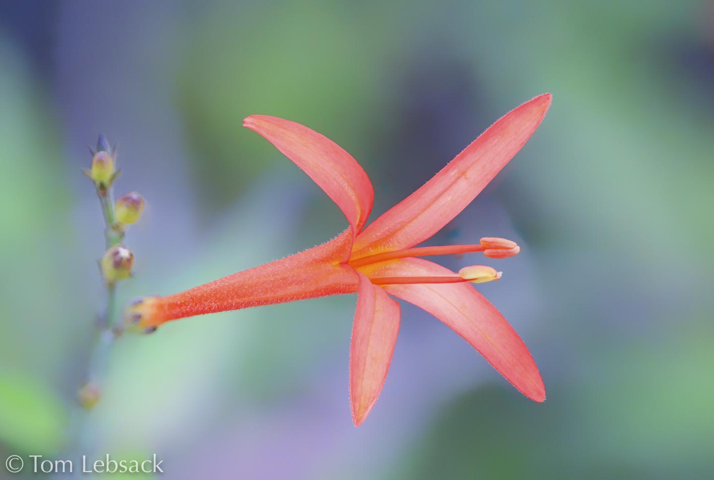 2018 04-17%2013-18-07%20%28A,Radius8,Smoothing4%2932-2-Edit