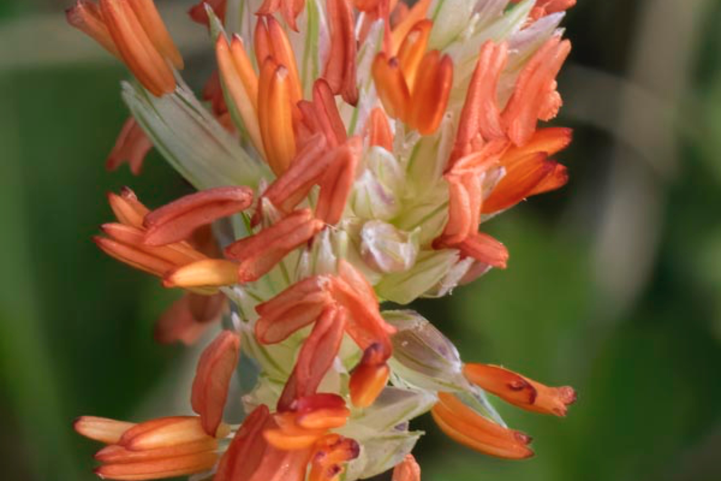 D81_7492 Edit-2-Edit