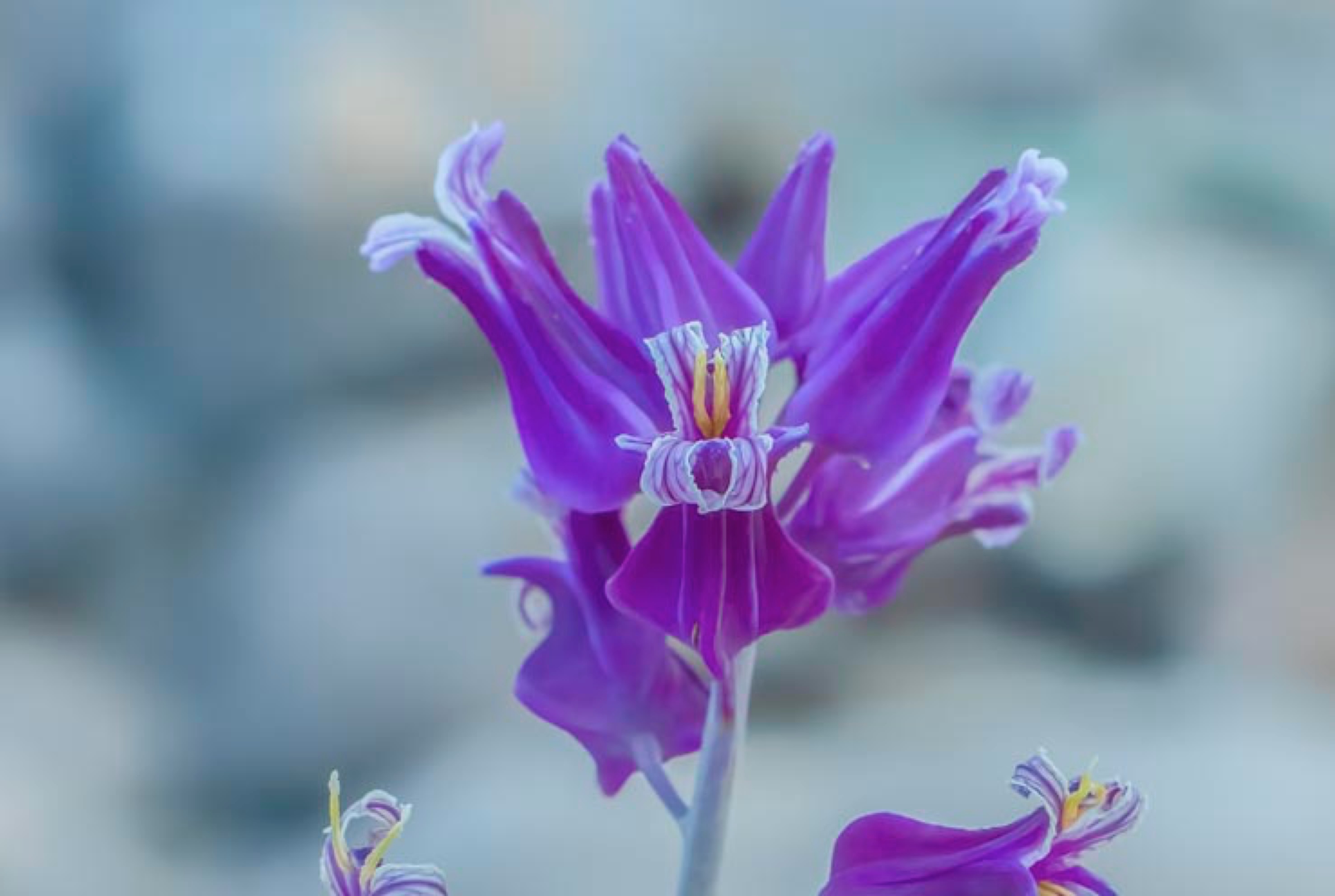 2017 05-16%2016-47-14%20%28A,Radius8,Smoothing4%299-2