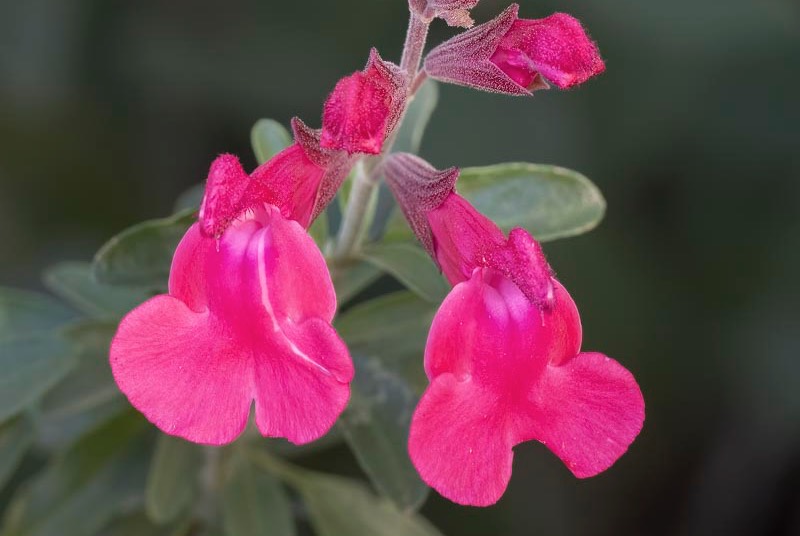 2017 05-16%2016-47-14%20%28A,Radius8,Smoothing4%299-2