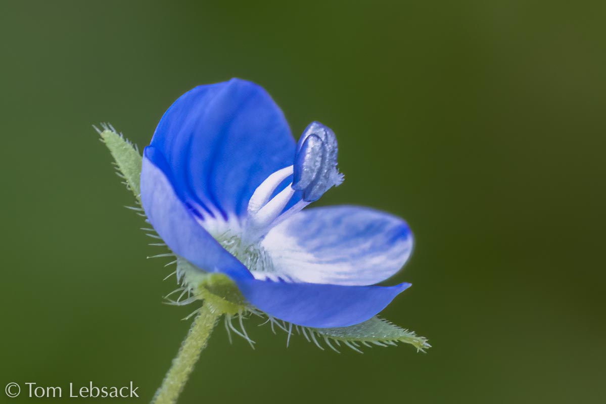 2017 05-16%2016-47-14%20%28A,Radius8,Smoothing4%299-2