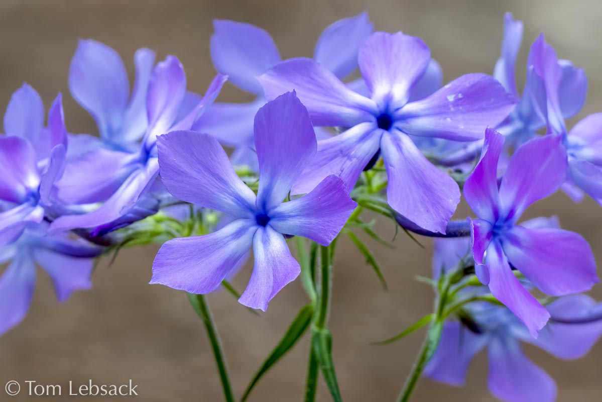 2017 05-16%2016-47-14%20%28A,Radius8,Smoothing4%299-2