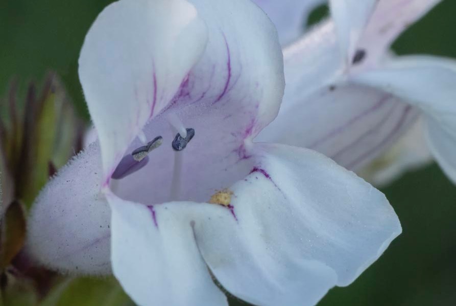 D81_7492 Edit-2-Edit