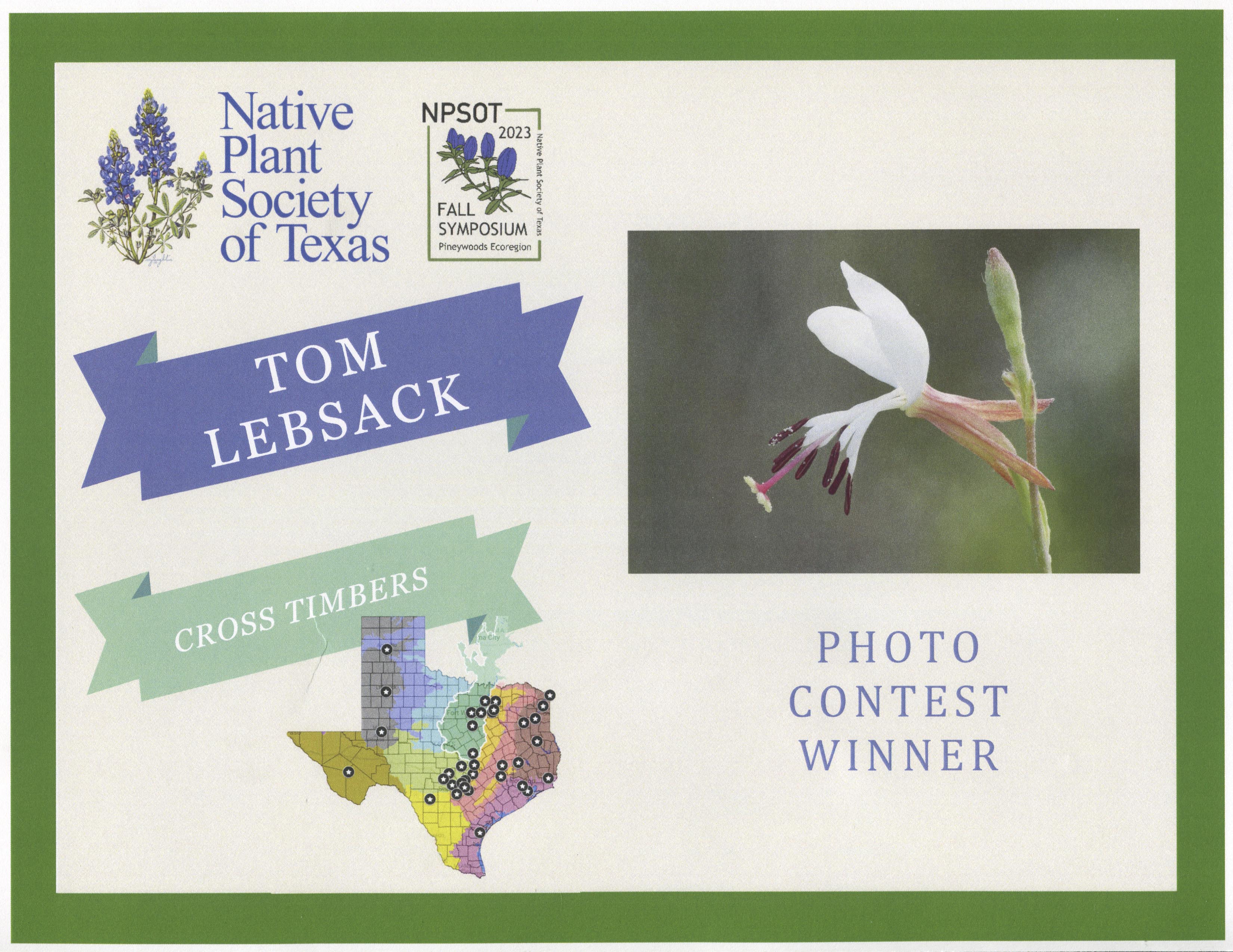 D81_3194 Edit-2-DeNoiseAI-2